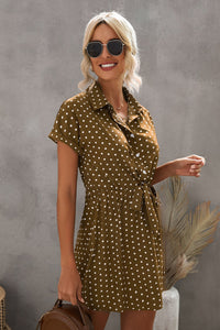 Brown Polka Dot Collared Shirt Dress