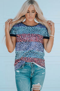 Multicolor Leopard Print Striped Raglan Tee