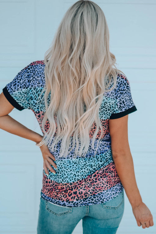 Multicolor Leopard Print Striped Raglan Tee