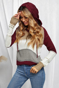 Deep Burgundy Color-block Hooded Knit Sweater