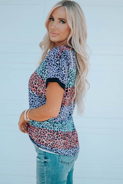 Multicolor Leopard Print Striped Raglan Tee